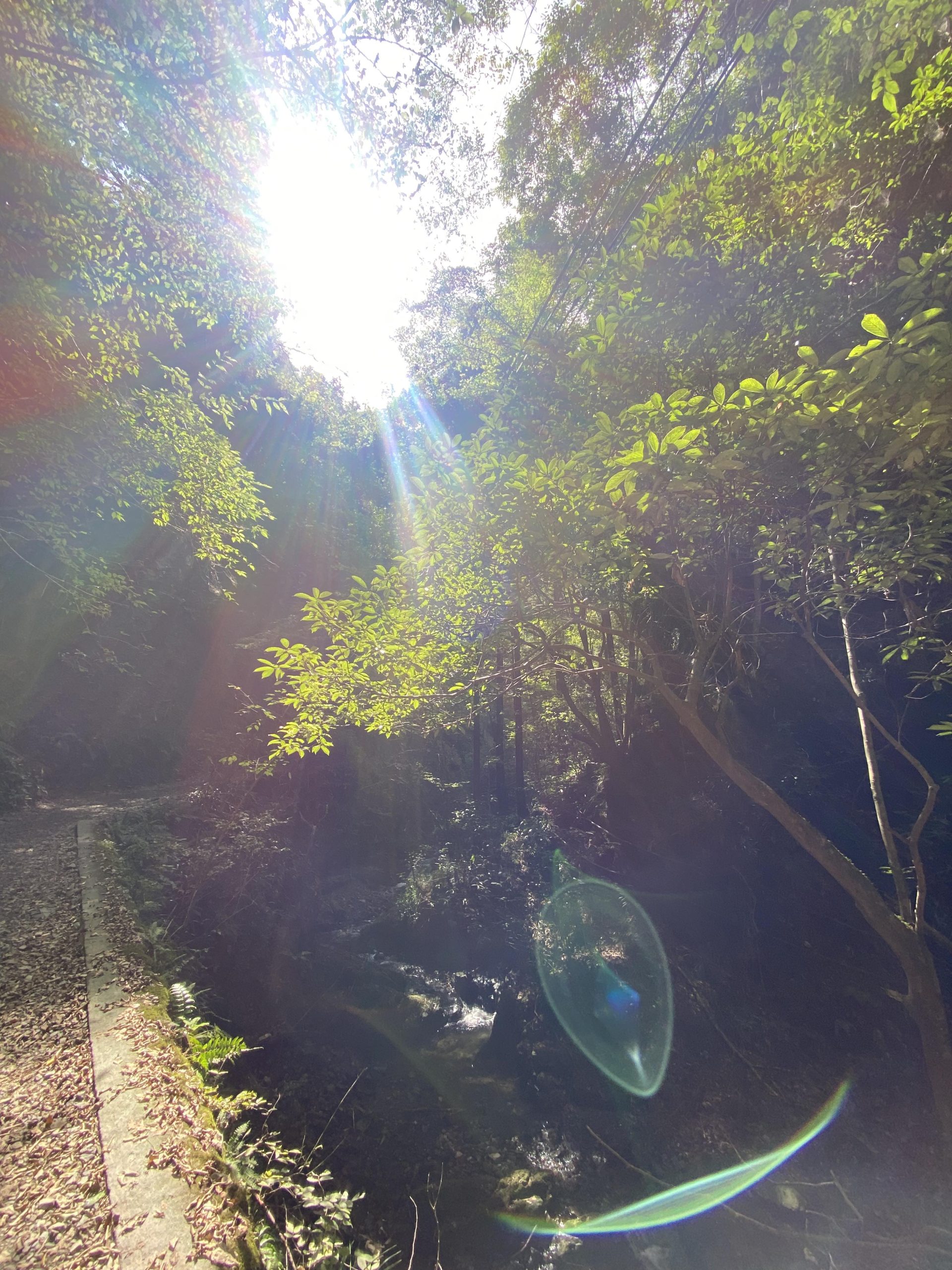 Sacred Moments of Taki-Gyo: Waterfall Asceticism